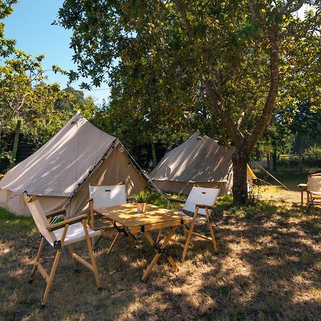Kampaoh Ancora Vila Praia de Âncora Exterior foto